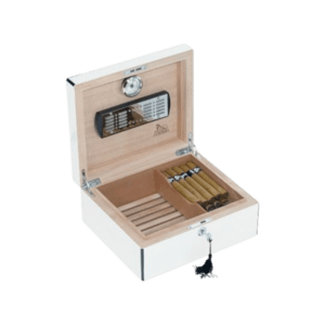 Captura2 (2)-600x600